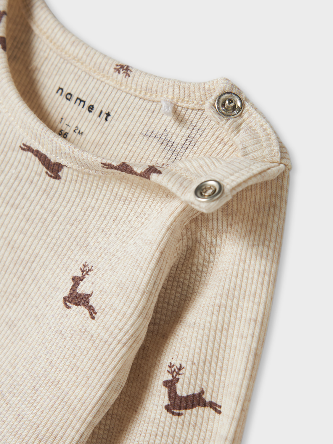 model_shot-front_full